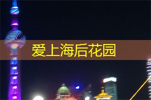 魅力上海：揭秘街头艺人娱乐场所！