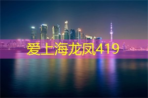 记录茶的旅程：上海茶庄的日常